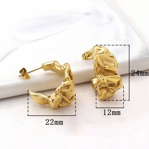 Stainless Steel Earrings-HY231020-P12VQQA (6)