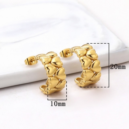 Stainless Steel Earrings-HY231020-P12VQQA (7)