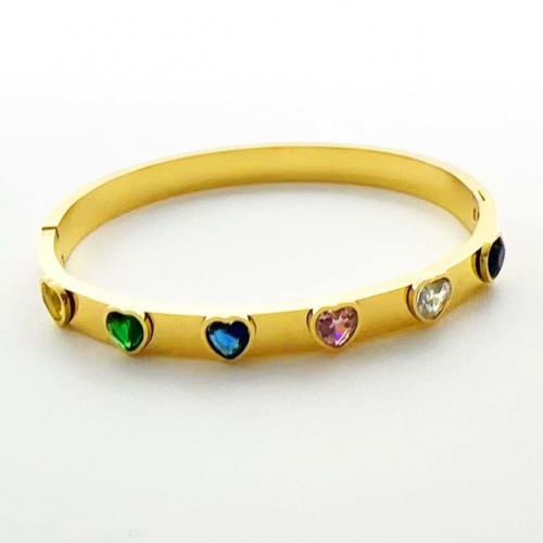 Stainless Steel Brand Bangle-RR231102-Rrs04618-24