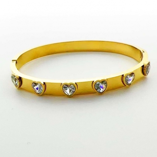 Stainless Steel Brand Bangle-RR231102-Rrs04616-24