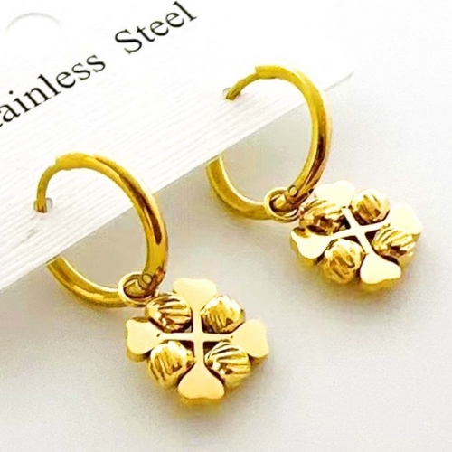 Stainless Steel Brand Earrings-RR231102-Rre1208-15