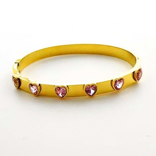 Stainless Steel Brand Bangle-RR231102-Rrs04617-24