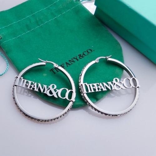 Stainless Steel Brand Earrings-HY231110-P16IIER (6)