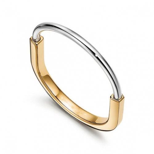 Stainless Steel Brand Bangle-ZN231114-P25VKLI (2)