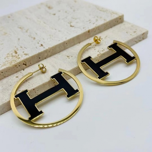 Stainless Steel Brand Earrings-ZN231114-P14BKLJ (1)