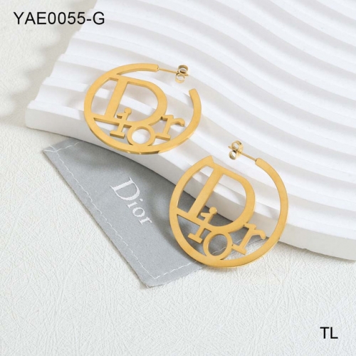 Stainless Steel Brand Earrings-SN231114-YAE0055-G-15.2