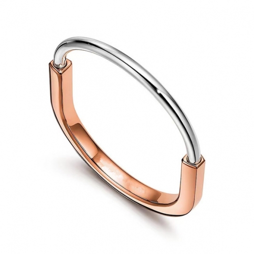 Stainless Steel Brand Bangle-ZN231114-P25VKLI (3)