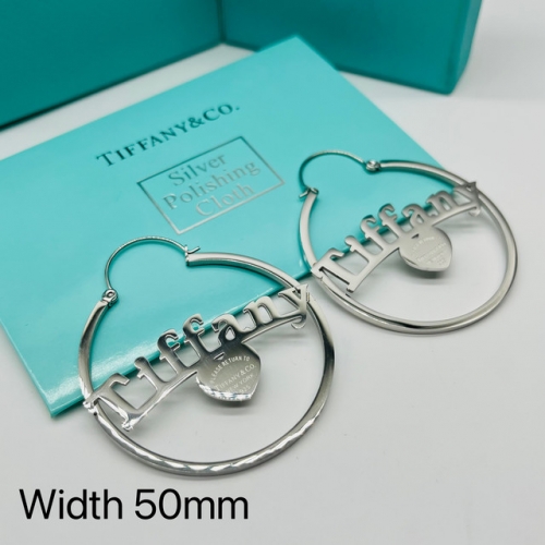 Stainless Steel Brand Earrings-ZN231114-P13CKJH (2)