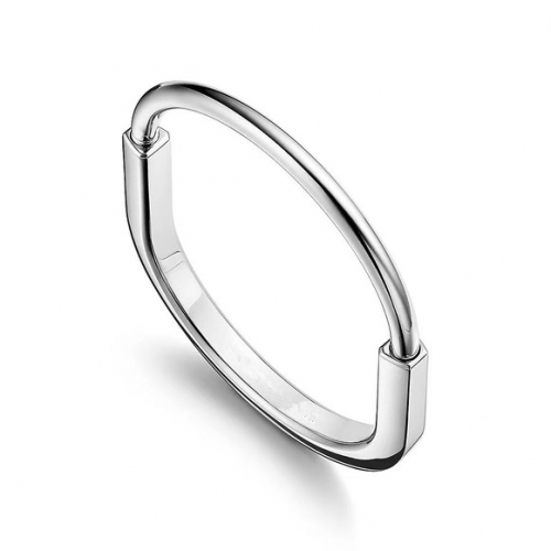 Stainless Steel Brand Bangle-ZN231114-P23VYYT