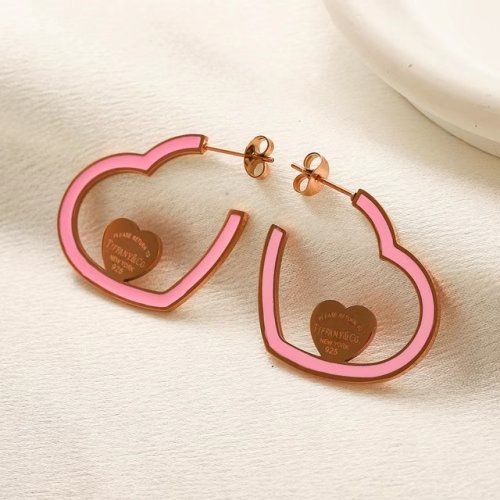 Stainless Steel Brand Earrings-YWA231123-P9.5YYTF (1)