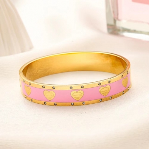 Stainless Steel Brand Bangle-YWA231123-P19GHYQ (1)