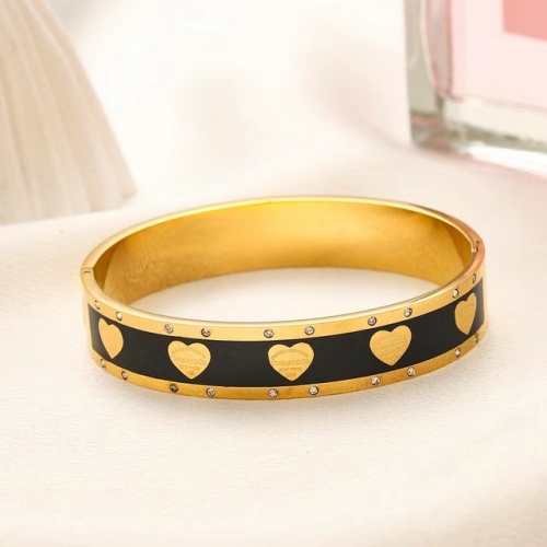 Stainless Steel Brand Bangle-YWA231123-P19GHYQ (2)