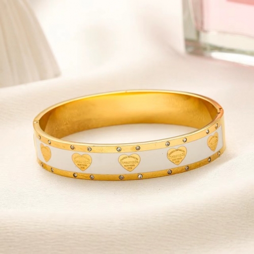 Stainless Steel Brand Bangle-YWA231123-P19GHYQ (3)