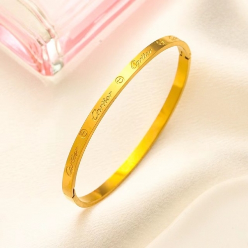 Stainless Steel Brand Bangle-YWA231123-P9XSSA