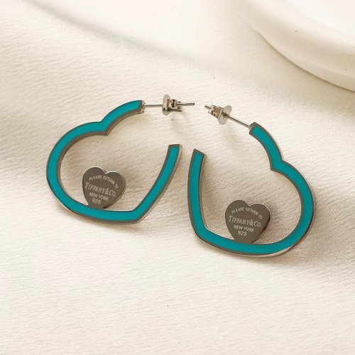 Stainless Steel Brand Earrings-YWA231123-P9.5YYTF (3)