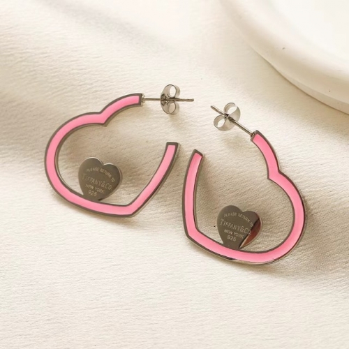 Stainless Steel Brand Earrings-YWA231123-P9.5YYTF (6)