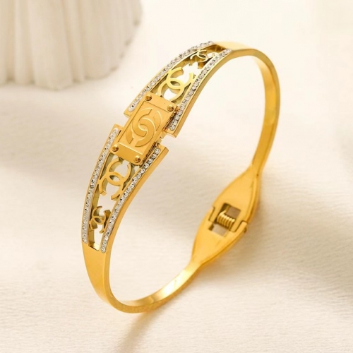 Stainless Steel Brand Bangle-YWA231123-P16CYUR