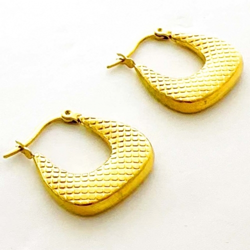 Stainless Steel Earrings-RR231201-Rre1241-15