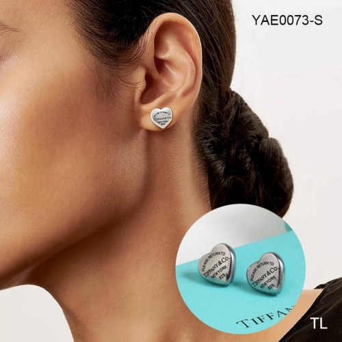 Stainless Steel Brand Earrings-SN231215-YAE0073-S-10.7