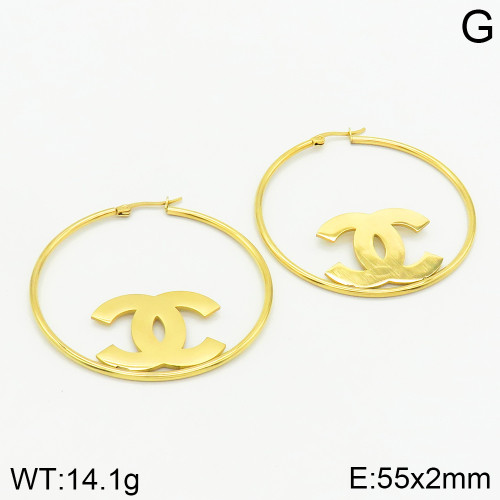 Stainless Steel Brand Earrings-ZN231215-XV003