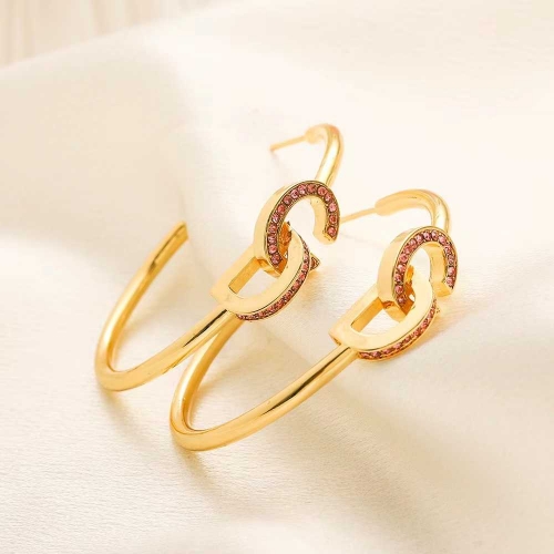 Copper Alloy Brand Earrings-YWA231228-P15.5VFR (3)