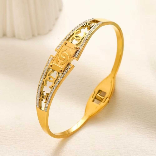 Stainless Steel Brand Bangle-YWA231228-P16VTUOI (1)