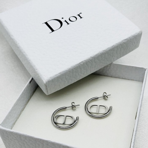 Stainless Steel Brand Earrings-ZN240119-P9VZZA