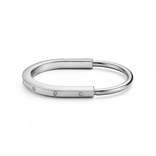 Stainless Steel Brand Bangle-HY240123-P24VWE