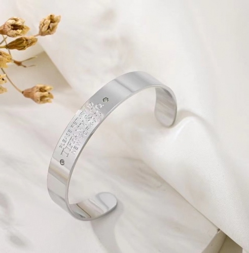 Stainless Steel Brand Bangle-ZN240415-P14VQQ