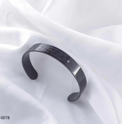 Stainless Steel Brand Bangle-ZN240415-P16VOOL (1)