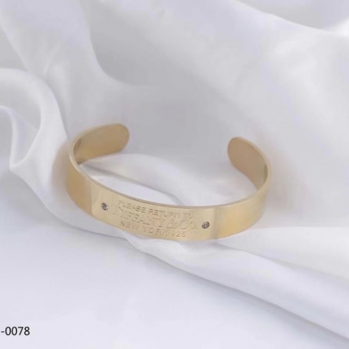 Stainless Steel Brand Bangle-ZN240415-P16VOOL (2)