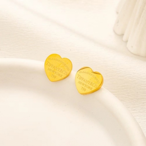 Stainless Steel Brand Earrings-YWA240416-P5.5YIY (1)