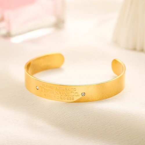 Stainless Steel Brand Bangle-YWA240416-P12VOOL (1)