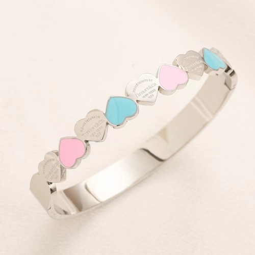 Stainless Steel Brand Bangle-YWA240416-P16LL9Q (1)