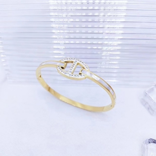 Stainless Steel Brand Bangle-XG240425-P20GFDH (2)