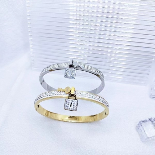 Stainless Steel Brand Bangle-XG240425-P20GFDH (48)