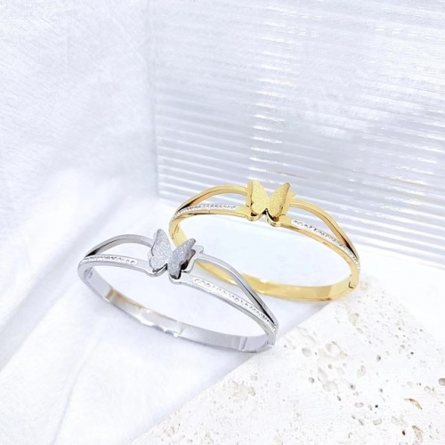 Stainless Steel Brand Bangle-XG240425-P20GFDH (12)