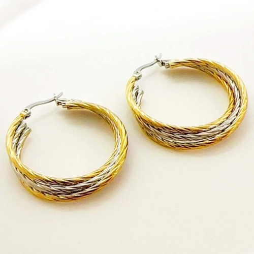 Stainless Steel Earrings-RR240509-Rre1293-11