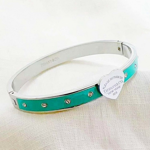 Stainless Steel Brand Bangle-RR240509-Rrs04734-19