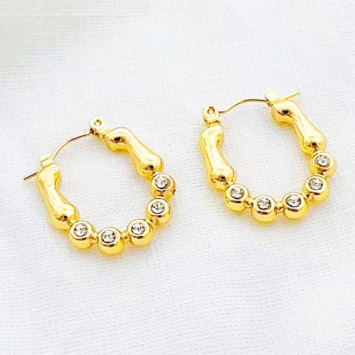 Stainless Steel Earrings-RR240509-Rre1497-13