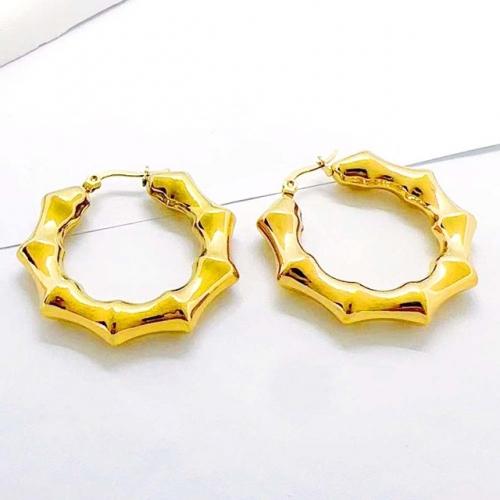 Stainless Steel Earrings-RR240509-Rre1449-17