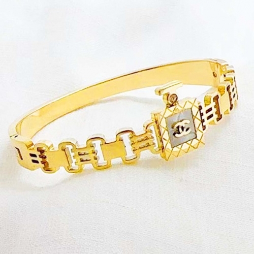 Stainless Steel Brand Bangle-RR240509-Rrs04758-23