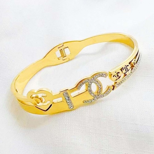 Stainless Steel Brand Bangle-RR240509-Rrs04757-23