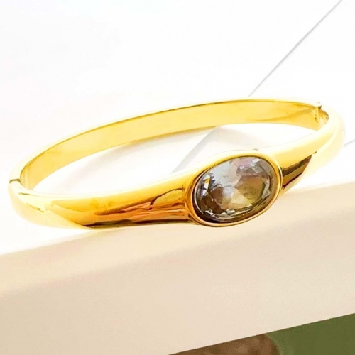 Stainless Steel Bangle-RR240509-Rrs04681-24
