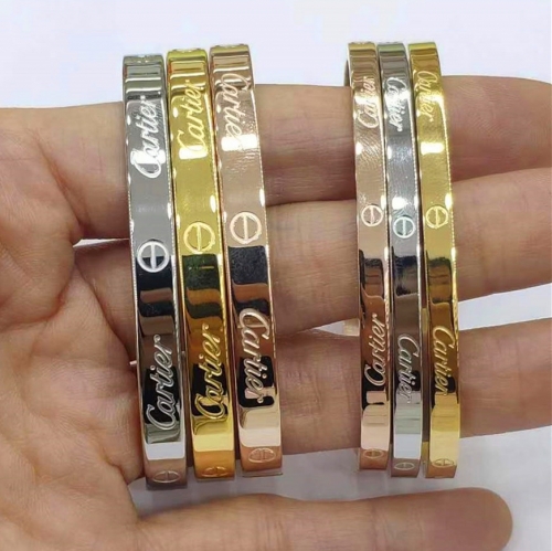 Stainless Steel Brand Bangle-HY240524-P24LOV