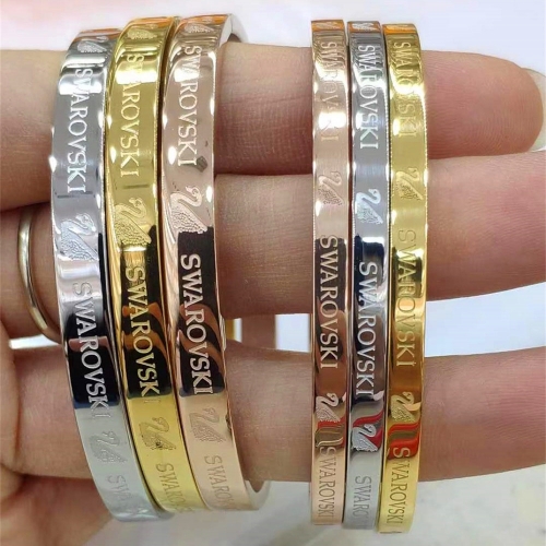 Stainless Steel Brand Bangle-HY240524-P24LOV