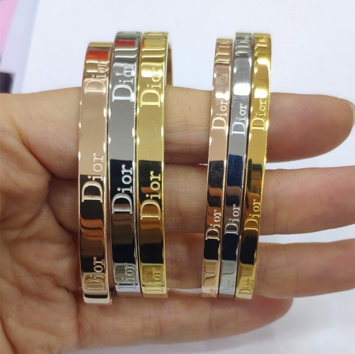 Stainless Steel Brand Bangle-HY240524-P24LOV