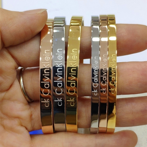 Stainless Steel Brand Bangle-HY240524-P24LOV