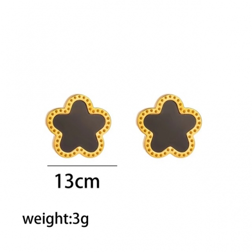 Stainless Steel Earrings-NB240527-P5FQ5R (8)