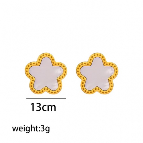 Stainless Steel Earrings-NB240527-P5FQ5R (9)